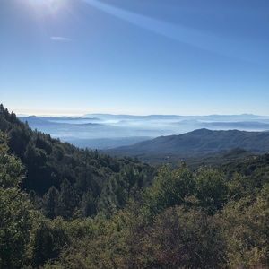 Meet your Posher, Luis